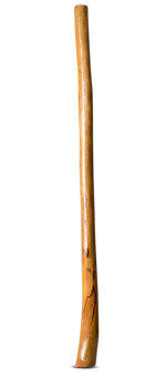 Gloss Finish Didgeridoo (TW904)
